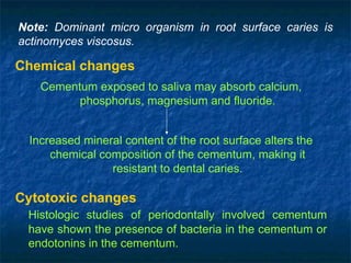 Chemical changes
Cementum exposed to saliva may absorb calcium,
phosphorus, magnesium and fluoride.
Increased mineral content of the root surface alters the
chemical composition of the cementum, making it
resistant to dental caries.
Cytotoxic changes
Histologic studies of periodontally involved cementum
have shown the presence of bacteria in the cementum or
endotonins in the cementum.
Note: Dominant micro organism in root surface caries is
actinomyces viscosus.
 