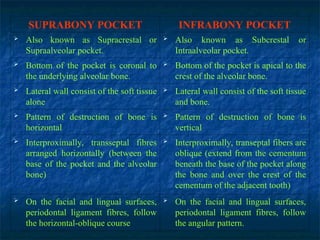 SUPRABONY POCKET INFRABONY POCKET
 Also known as Supracrestal or
Supraalveolar pocket.
 Also known as Subcrestal or
Intraalveolar pocket.
 Bottom of the pocket is coronal to
the underlying alveolar bone.
 Bottom of the pocket is apical to the
crest of the alveolar bone.
 Lateral wall consist of the soft tissue
alone
 Lateral wall consist of the soft tissue
and bone.
 Pattern of destruction of bone is
horizontal
 Pattern of destruction of bone is
vertical
 Interproximally, transseptal fibres
arranged horizontally (between the
base of the pocket and the alveolar
bone)
 Interproximally, transeptal fibers are
oblique (extend from the cementum
beneath the base of the pocket along
the bone and over the crest of the
cementum of the adjacent tooth)
 On the facial and lingual surfaces,
periodontal ligament fibres, follow
the horizontal-oblique course
 On the facial and lingual surfaces,
periodontal ligament fibres, follow
the angular pattern.
 