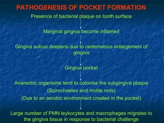 PATHOGENESIS OF POCKET FORMATION
Presence of bacterial plaque on tooth surface
Marginal gingiva become inflamed
Gingiva sulcus deepens due to oedematous enlargement of
gingiva
Gingiva pocket
Anareobic organisms tend to colonise the subgingiva plaque
(Spirochaetes and motile rods)
(Due to an aerobic environment created in the pocket)
Large number of PMN leykocytes and macrophages migrates to
the gingiva tissue in response to bacterial challenge
 