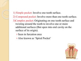 1) Simple pocket: Involve one tooth surface.
2) Compound pocket: Involve more than one tooth surface.
3)Complex pocket: Originating on one tooth surface and
twisting around the tooth to involve one or more
additional surfaces (But open into oral cavity on the
surface of its origin).
Seen in furcation area
Also known as ‘Spiral Pocket’
 
