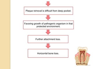 Plaque removal is difficult from deep pocket.
Favoring growth of pathogenic organism in that
protected environment.
Further attachment loss.
Horizontal bone loss.
 