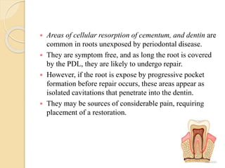  Areas of cellular resorption of cementum, and dentin are
common in roots unexposed by periodontal disease.
 They are symptom free, and as long the root is covered
by the PDL, they are likely to undergo repair.
 However, if the root is expose by progressive pocket
formation before repair occurs, these areas appear as
isolated cavitations that penetrate into the dentin.
 They may be sources of considerable pain, requiring
placement of a restoration.
 