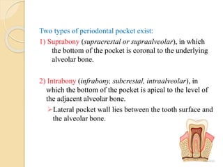 Two types of periodontal pocket exist:
1) Suprabony (supracrestal or supraalveolar), in which
the bottom of the pocket is coronal to the underlying
alveolar bone.
2) Intrabony (infrabony, subcrestal, intraalveolar), in
which the bottom of the pocket is apical to the level of
the adjacent alveolar bone.
Lateral pocket wall lies between the tooth surface and
the alveolar bone.
 