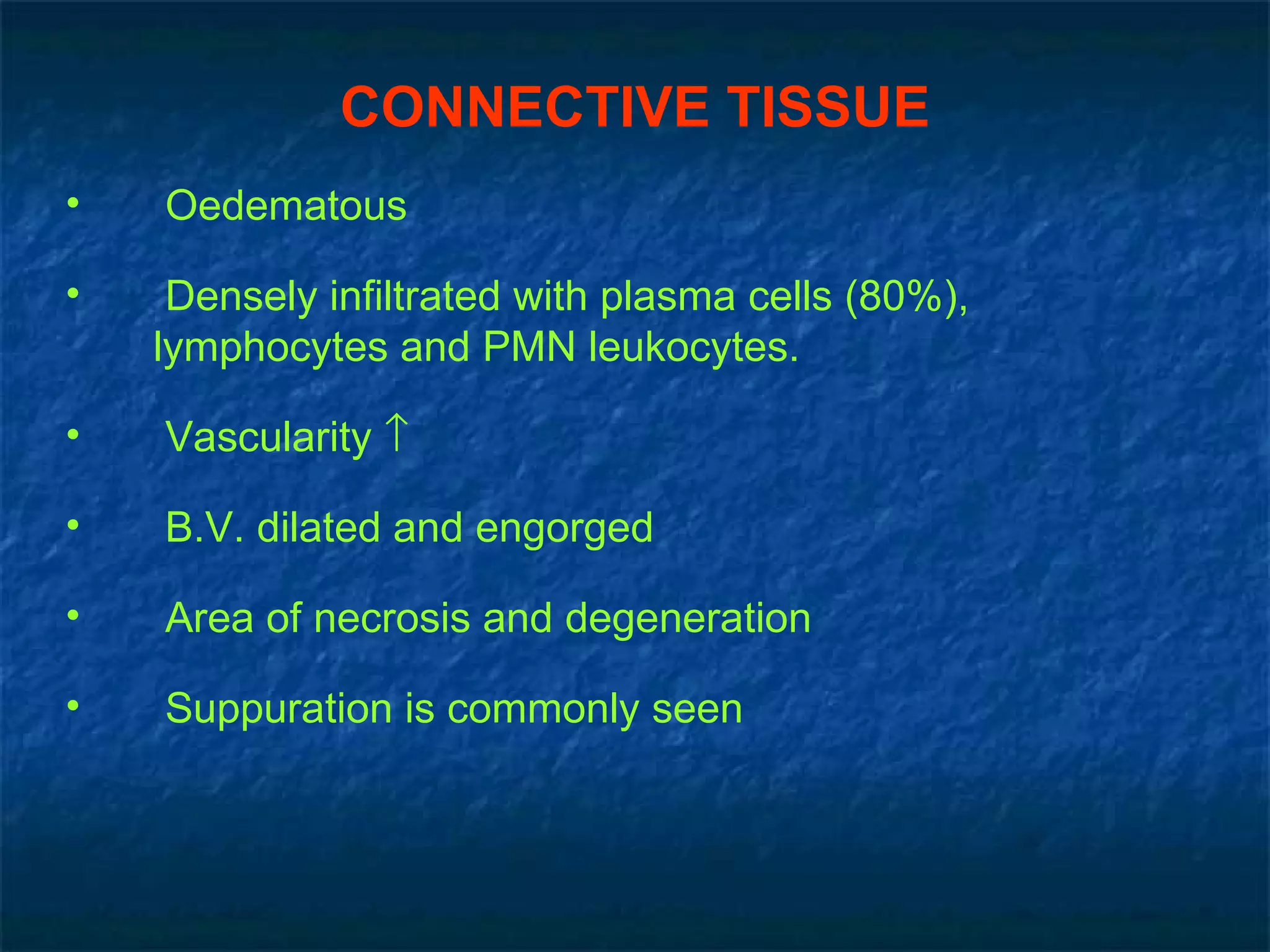 CONNECTIVE TISSUE Oedematous Densely infiltrated with plasma cells (80%), lymphocytes and PMN leukocytes. Vascularity   B.V. dilated and engorged Area of necrosis and degeneration Suppuration is commonly seen 