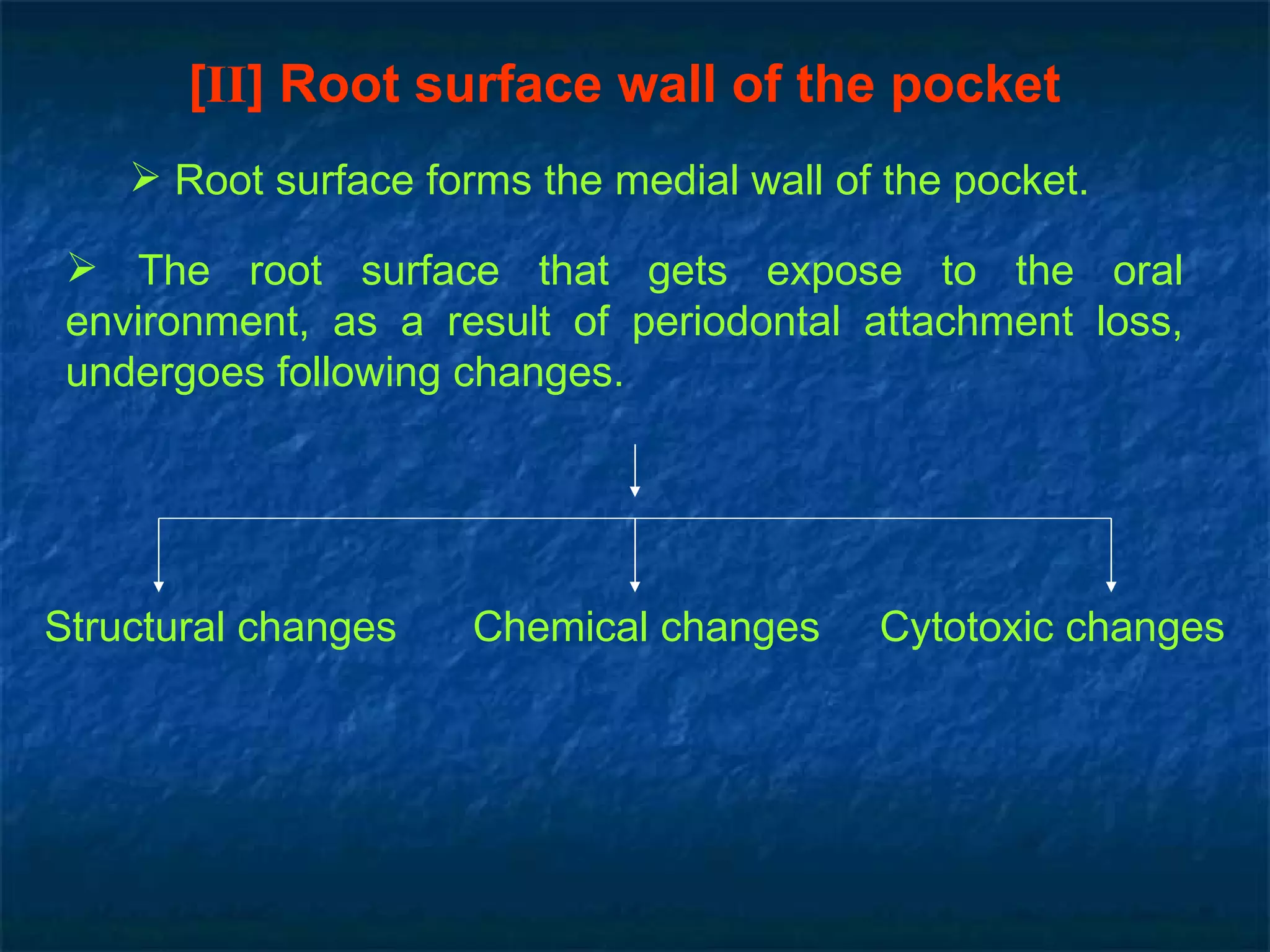 [ II ] Root surface wall of the pocket Root surface forms the medial wall of the pocket. The root surface that gets expose to the oral environment, as a result of periodontal attachment loss, undergoes following changes. Structural changes   Chemical changes  Cytotoxic changes  