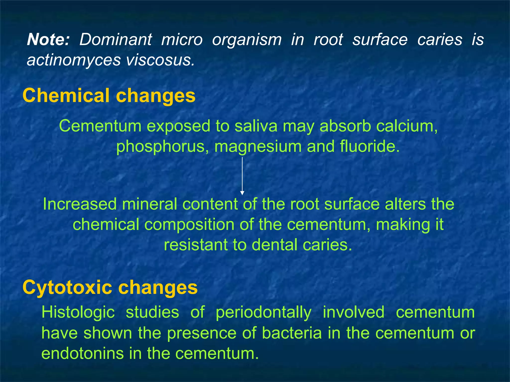 Chemical changes Cementum exposed to saliva may absorb calcium, phosphorus, magnesium and fluoride. Increased mineral content of the root surface alters the chemical composition of the cementum, making it resistant to dental caries. Cytotoxic changes Histologic studies of periodontally involved cementum have shown the presence of bacteria in the cementum or endotonins in the cementum. Note:  Dominant micro organism in root surface caries is actinomyces viscosus. 