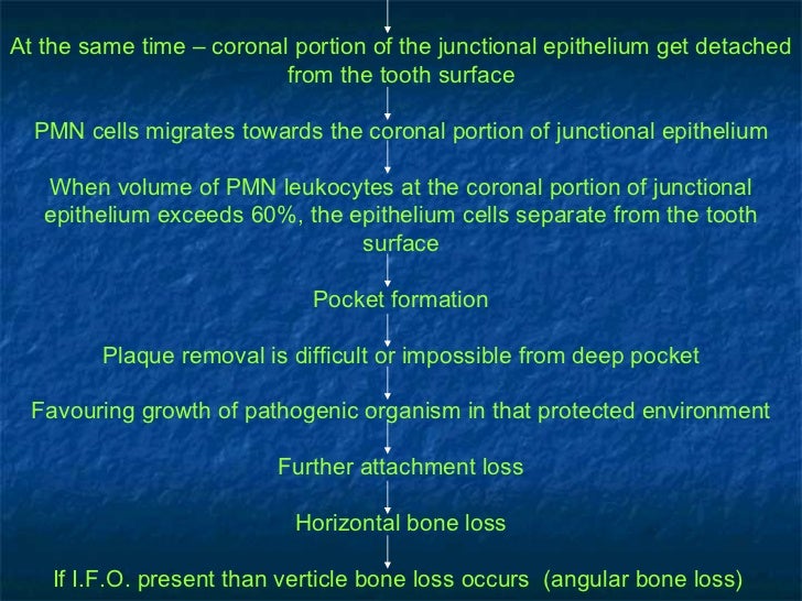 peridontal pocket