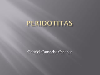 Gabriel Camacho Olachea

 