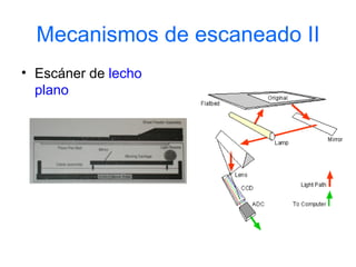 Mecanismos de escaneado II
• Escáner de lecho
  plano
 