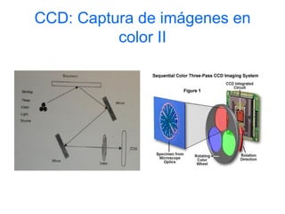 CCD: Captura de imágenes en
          color II
 