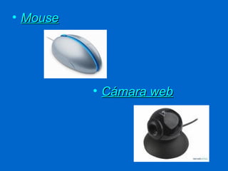 • Mouse




          • Cámara web
 