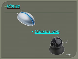 Mouse




         • Cámara web
 