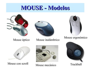 MOUSE - Modelos Mouse óptico Mouse inalámbrico Mouse ergonómico Mouse mecánico Mouse con scroll Trackball 