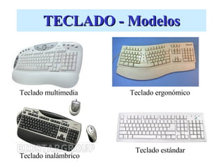 TECLADO - Modelos Teclado multimedia Teclado ergonómico Teclado inalámbrico Teclado estándar 