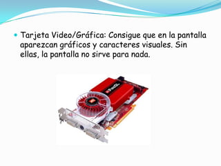 Tarjeta Video/Gráfica: Consigue que en la pantalla aparezcan gráficos y caracteres visuales. Sin ellas, la pantalla no sirve para nada.