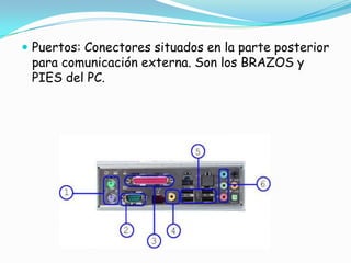 Puertos: Conectores situados en la parte posterior para comunicación externa. Son los BRAZOS y PIES del PC.