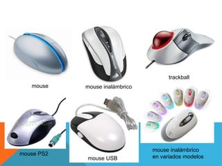trackball
   mouse    mouse inalámbrico




                                mouse inalámbrico
mouse PS2
            mouse USB           en variados modelos
 