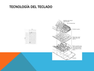 TECNOLOGÍA DEL TECLADO
 