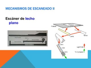 MECANISMOS DE ESCANEADO II

Escáner de lecho
  plano
 