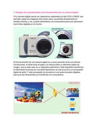 Perifericos de entrada de datos