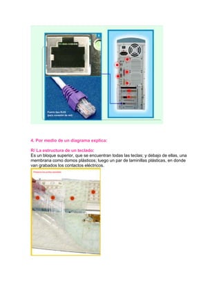 Perifericos de entrada de datos