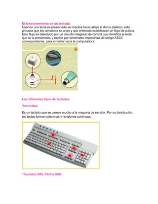 Perifericos de entrada de datos