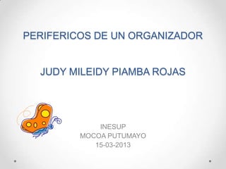 PERIFERICOS DE UN ORGANIZADOR


  JUDY MILEIDY PIAMBA ROJAS




             INESUP
         MOCOA PUTUMAYO
            15-03-2013
 