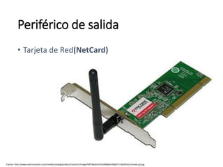 Fuente: http://www.starcomputer.com/media/catalog/product/cache/1/image/9df78eab33525d08d6e5fb8d27136e95/e/n/enlwi-g2.jpg
Periférico de salida
• Tarjeta de Red(NetCard)
 