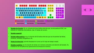 • Teclado de función: Es un conjunto de trece teclas entre las que se encuentra el ESC, tan
utilizado en sistemas informáticos, mas 12 teclas de función.
• Teclado especial
• Teclado alfanumérico: es un conjunto de 62 teclas entre las que se encuentran las letras,
números, símbolos ortográficos, etc.
• Teclas de dirección: permite desplazar el cursor por la hoja de trabajo creado.
• Teclado numérico: es el conjunto de teclas con números ubicados a la derecha del teclado. Su
finalidad es de simplificar las operaciones de entrada de números.
 