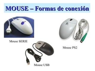 MOUSE – Formas de conexión




 Mouse SERIE

                           Mouse PS2




               Mouse USB
 