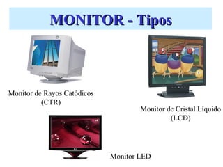 MONITOR - Tipos



Monitor de Rayos Catódicos
          (CTR)
                                     Monitor de Cristal Líquido
                                              (LCD)




                             Monitor LED
 