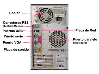 Cooler

Conectores PS2
(Teclado-Mouse)

Puertos USB        Placa de Red
Puerto serie
                  Puerto paralelo
Puerto VGA        (impresora)

Placa de sonido
 