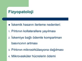 Fizyopatoloji


    İskemik hasarın ilerleme nedenleri:

1.   Pıhtının kollaterallere yayılması

2.   İskemiye bağlı ödemle kompartman
     basıncının artması

3.   Pıhtının mikrosirkülasyona dağılması

4.   Mikrovasküler hücrelerin ödemi
 