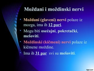 Moždani i moždinski nervi
Moždani (glaveni) nervi polaze iz
mozga, ima ih 12 pari.
Mogu biti osećajni, pokretački,
mešoviti.
Moždinski (kičmeni) nervi polaze iz
kičmene moždine.
Ima ih 31 par svi su mešoviti.
 