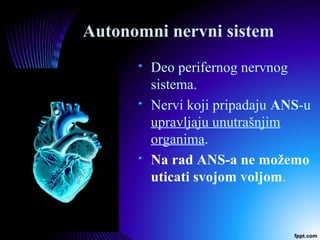 Autonomni nervni sistem
Deo perifernog nervnog
sistema.
Nervi koji pripadaju ANS-u
upravljaju unutrašnjim
organima.
Na rad ANS-a ne možemo
uticati svojom voljom.
 