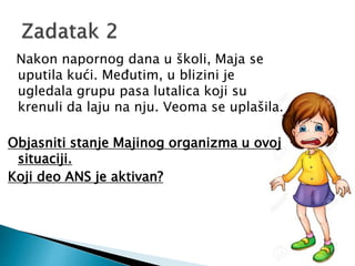 Nakon napornog dana u školi, Maja se
uputila kući. Međutim, u blizini je
ugledala grupu pasa lutalica koji su
krenuli da laju na nju. Veoma se uplašila.
Objasniti stanje Majinog organizma u ovoj
situaciji.
Koji deo ANS je aktivan?
 