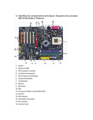 3. Identifica los componentes de la figura: Esquema de una placa 
MSI K7N2 Delta 2 Platinum 
1. Socket 
2. Memoria RAM 
3. ATX conexión a auxiliar 
4. Conexión de disqutero 
5. IDE conectores Southbrige 
6. Chipset Northbride 
7. Ventiladores 
8. Batería 
9. Bios flash 
10. USE 
11. Puertos de video y sonido (Slot AGP) 
12. Slot PCI 
13. AGP Express 
14. Ventilador Procesador 
15. AT conexión 
16. Puertos serial 
 