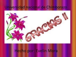 Universidad nacional de Chimborazo

Hecho por: Evelin Mora

 