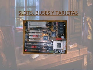 SLOTS, BUSES Y TARJETAS
 