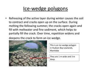 Periglacial Landforms: an in-depth study | PPTX