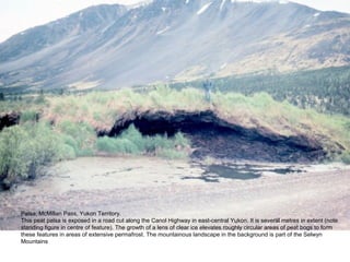 Palsa, McMillan Pass, Yukon Territory.
This peat palsa is exposed in a road cut along the Canol Highway in east-central Yukon. It is several metres in extent (note
standing figure in centre of feature). The growth of a lens of clear ice elevates roughly circular areas of peat bogs to form
these features in areas of extensive permafrost. The mountainous landscape in the background is part of the Selwyn
Mountains
 