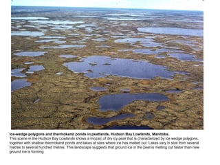 Ice-wedge polygons and thermokarst ponds in peatlands, Hudson Bay Lowlands, Manitoba.
This scene in the Hudson Bay Lowlands shows a mozaic of dry icy peat that is characterized by ice wedge polygons,
together with shallow thermokarst ponds and lakes at sites where ice has melted out. Lakes vary in size from several
metres to several hundred metres. This landscape suggests that ground ice in the peat is melting out faster than new
ground ice is forming
 