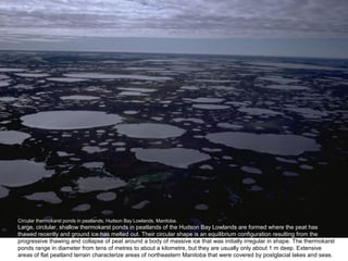 Circular thermokarst ponds in peatlands, Hudson Bay Lowlands, Manitoba.
Large, circlular, shallow thermokarst ponds in peatlands of the Hudson Bay Lowlands are formed where the peat has
thawed recently and ground ice has melted out. Their circular shape is an equilibrium configuration resulting from the
progressive thawing and collapse of peat around a body of massive ice that was initially irregular in shape. The thermokarst
ponds range in diameter from tens of metres to about a kilometre, but they are usually only about 1 m deep. Extensive
areas of flat peatland terrain characterize areas of northeastern Manitoba that were covered by postglacial lakes and seas.
 