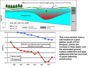 This cross-section, from a
site located on a peat
plateau south of Fort
Simpson, shows the
increase in thaw depth, and
the associated ground
surface settlement and pipe
settlement that has occurred
12 years following
construction.
 