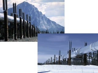 Periglacial processes and features