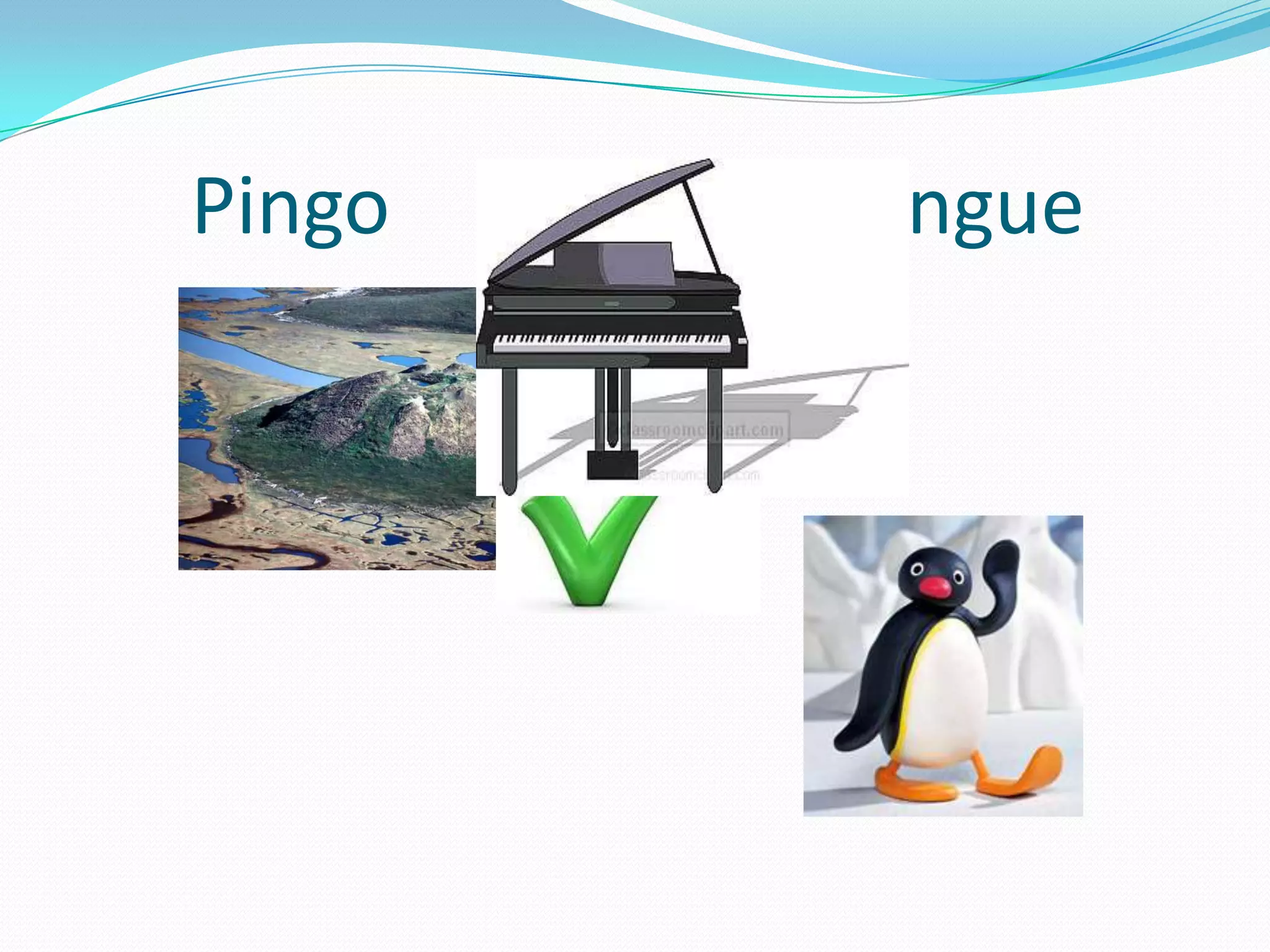 Pingo			not Pingue