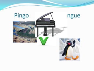 Pingo			not Pingue
