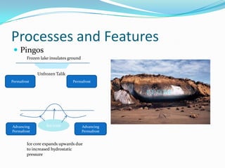 Processes and FeaturesPingosFrozen lake insulates groundUnfrozen TalikPermafrostPermafrostICE COREIce coreAdvancing PermafrostAdvancing PermafrostIce core expands upwards due to increased hydrostatic pressure 
