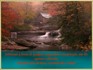 Sobretudo à frente de qualquer companheiro encolerizado, não lhe agraves a distonia. Ninguém cura um louco, zurzindo-lhe o crânio. 