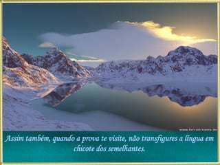 Assim também, quando a prova te visite, não transfigures a língua em chicote dos semelhantes. 